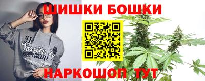 сатива Краснознаменск